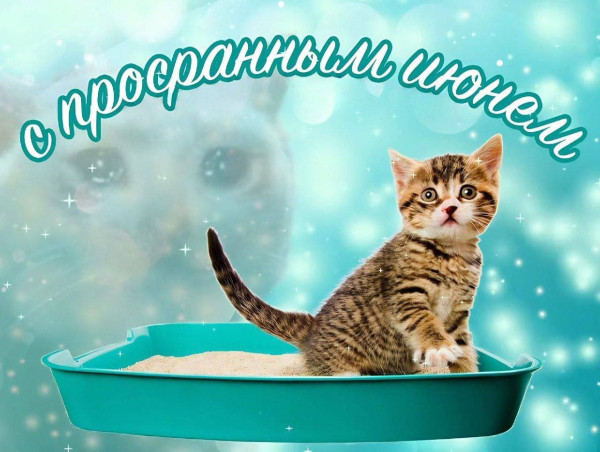 Мем, Микки Маус