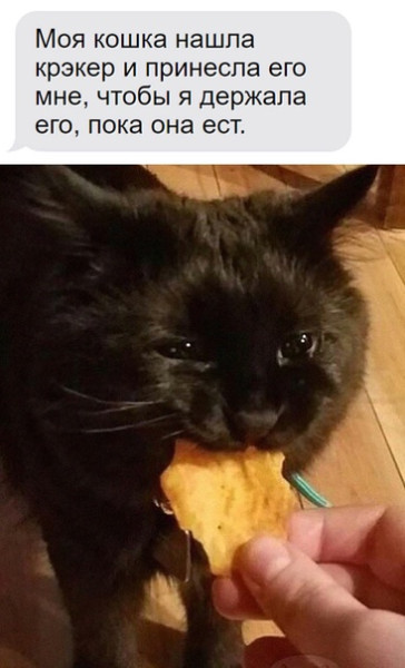 Мем, Микки Маус