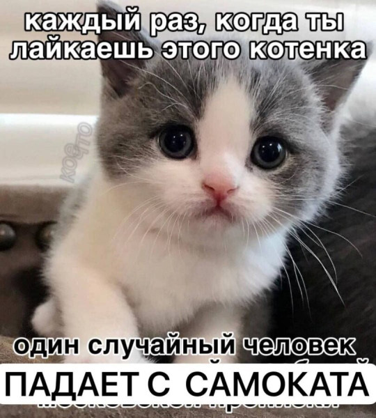 Мем, Mghost