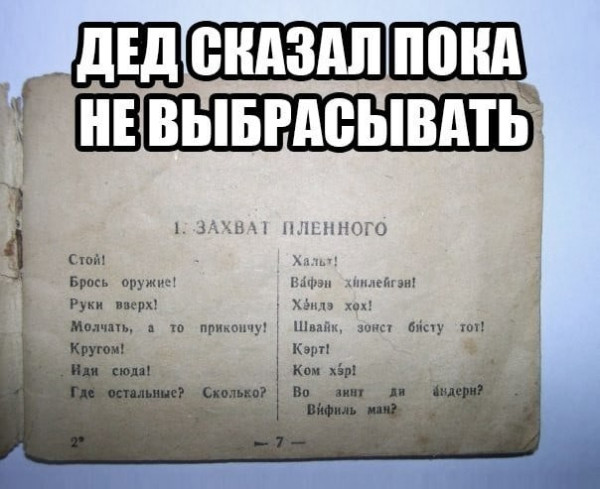 Мем, Ymir