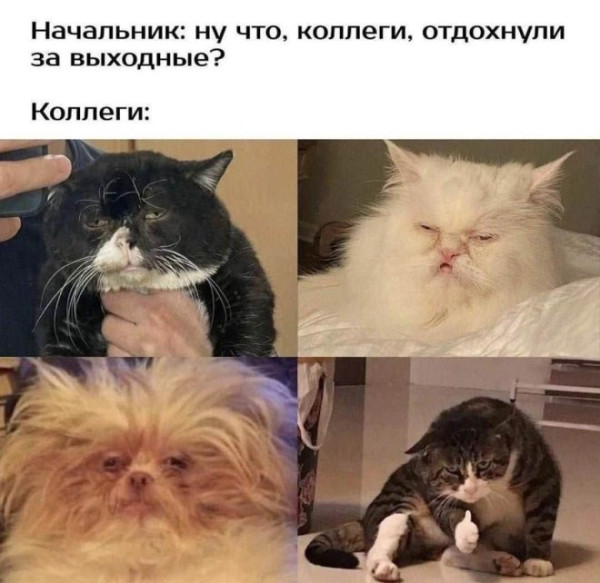 Мем, Бывает