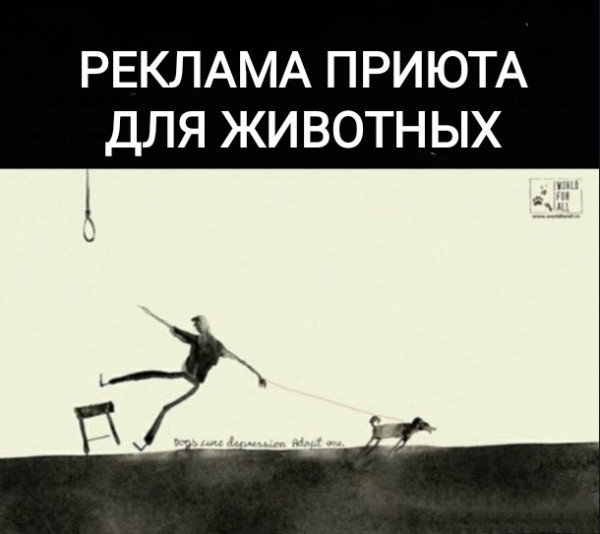 Мем, Рысь