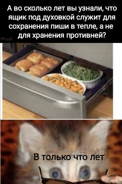 Мем, Рысь