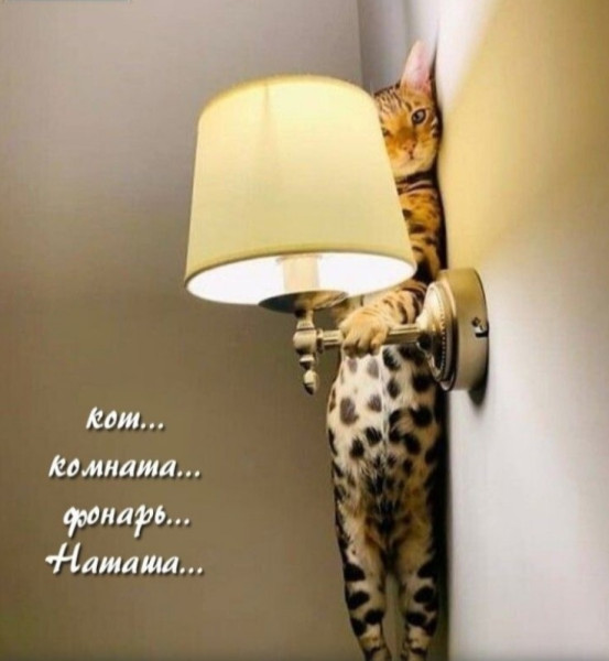 Мем, banned_banny