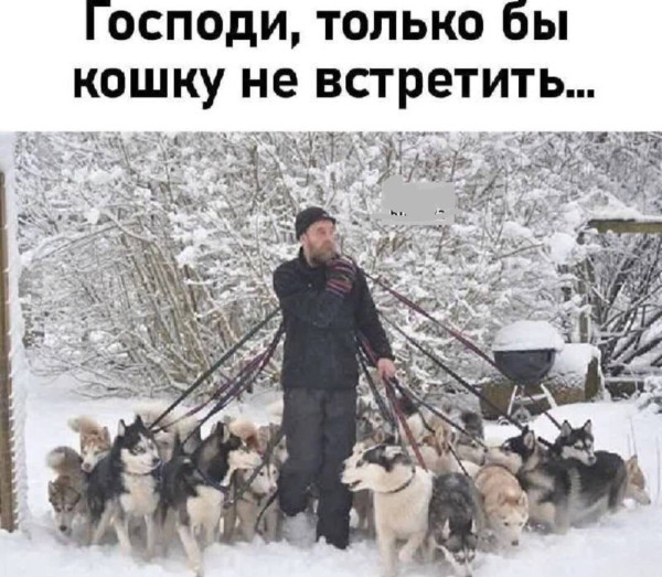 Мем, Смехалка