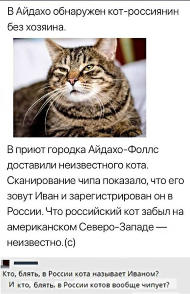 Мем, Леонид Хлыновский