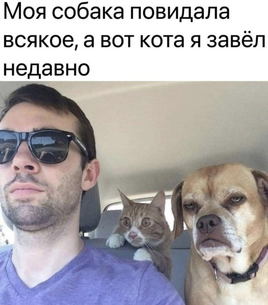 Мем, Леонид Хлыновский