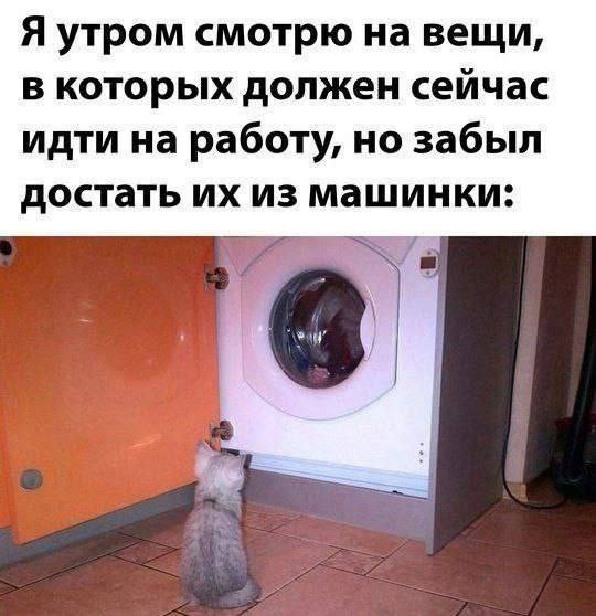Мем, Леонид Хлыновский