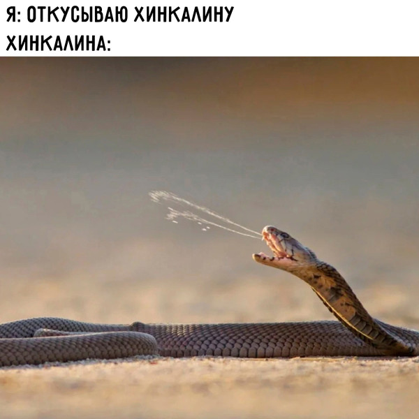 Мем, Леонид Хлыновский