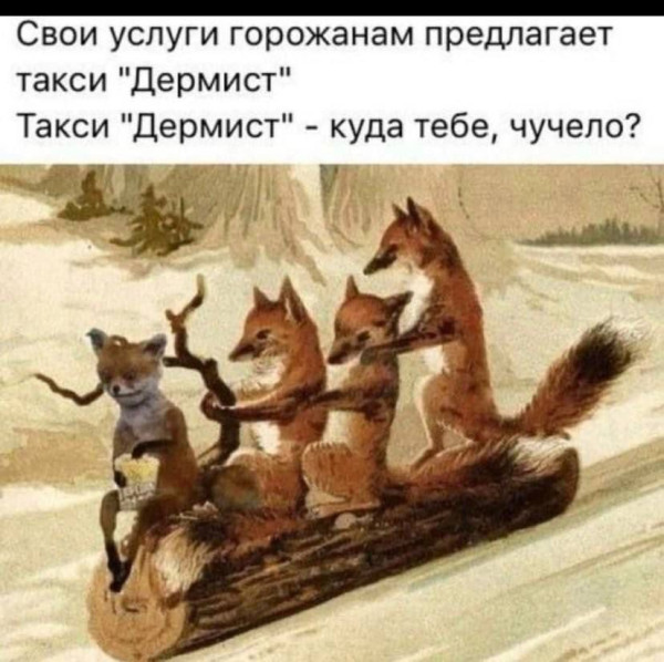 Мем, anberg