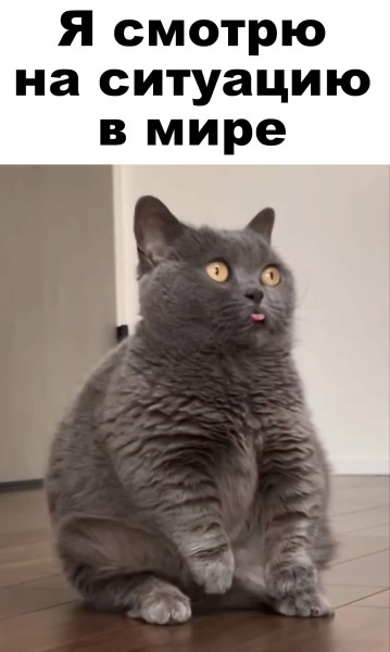 Мем: Я смотрю на ситуацию в мире, dmitriyfilipin