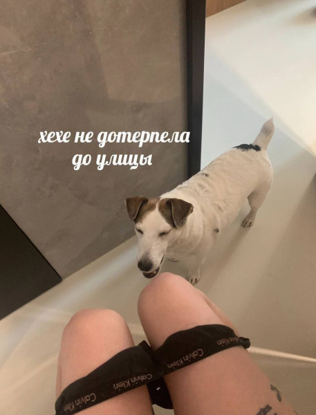 Мем, Леонид Хлыновский