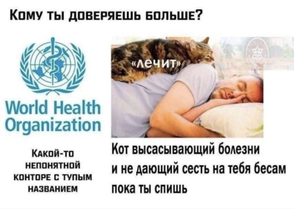 Мем: Приколы дня, iteam