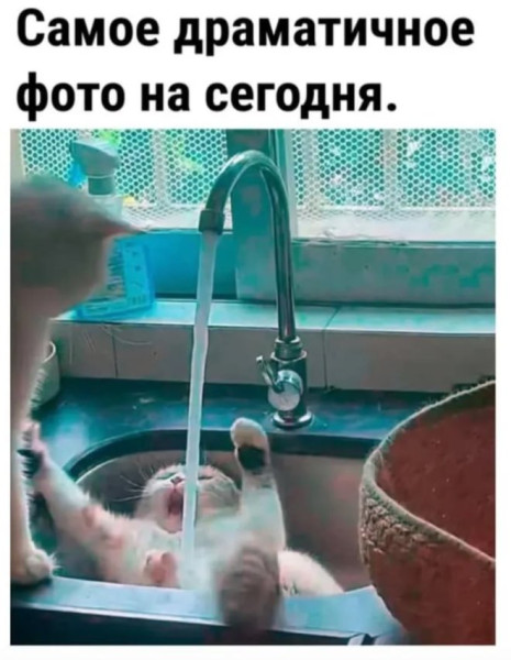 Мем: Приколы дня, iteam