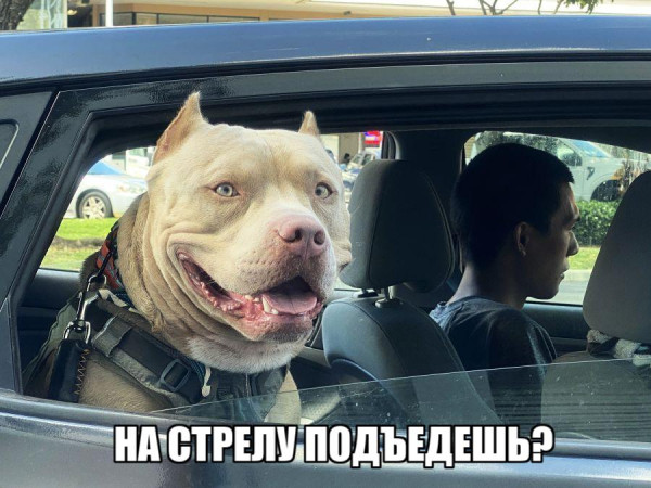 Мем, комментатор