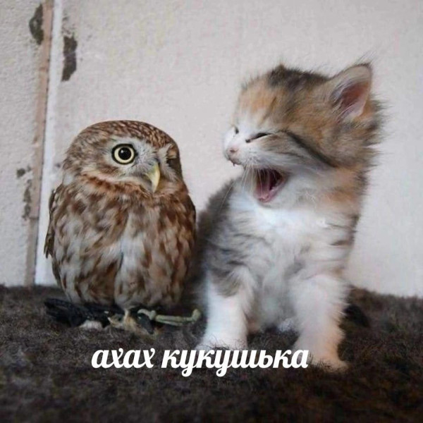 Мем, Леонид Хлыновский