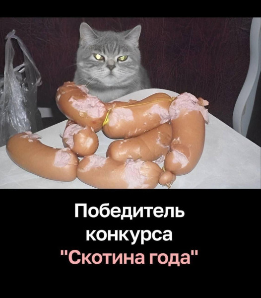 Мем, anberg