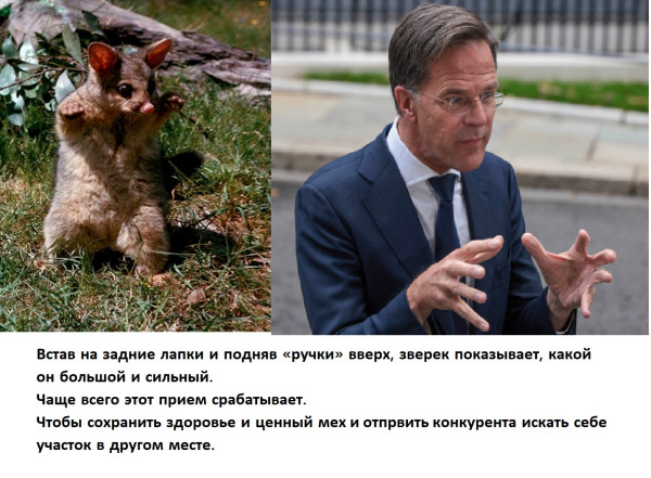 Мем, Mghost