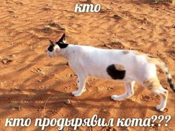 Мем, Леонид Хлыновский