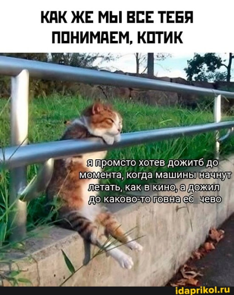 Мем, FDio