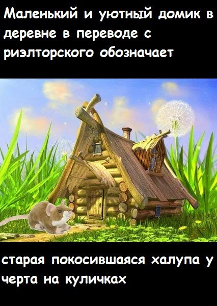 Мем, Лис Интересный