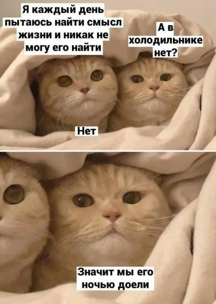 Мем, Mghost