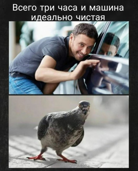 Мем: Юмор на день, iteam