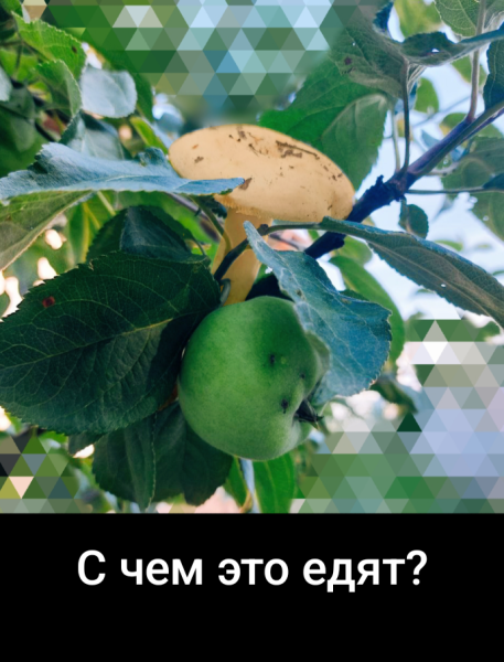 Мем: Новый гибрид