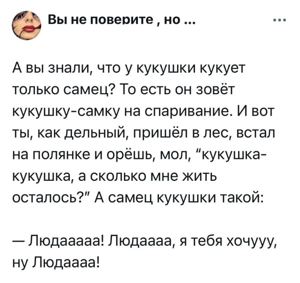 Мем, Бука