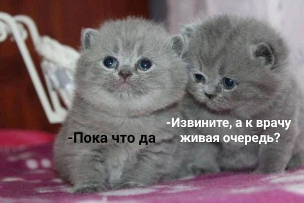 Мем, Леонид Хлыновский