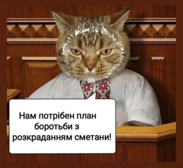 Мем, Максим Камерер