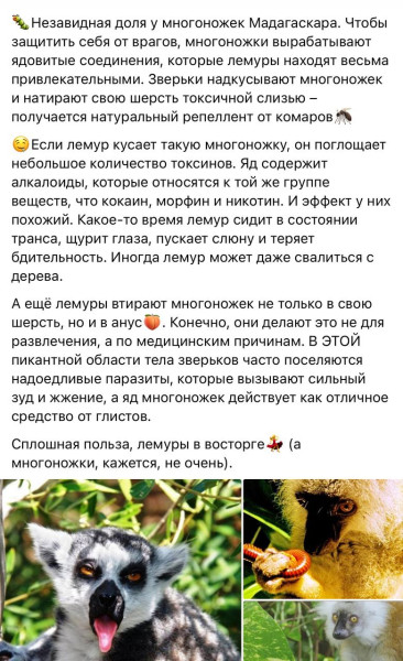 Мем, Смехалка