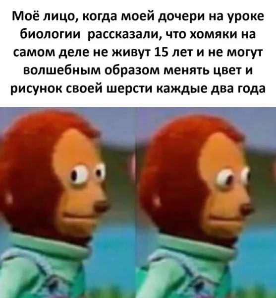 Мем, Смехалка