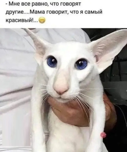 Мем, Mghost