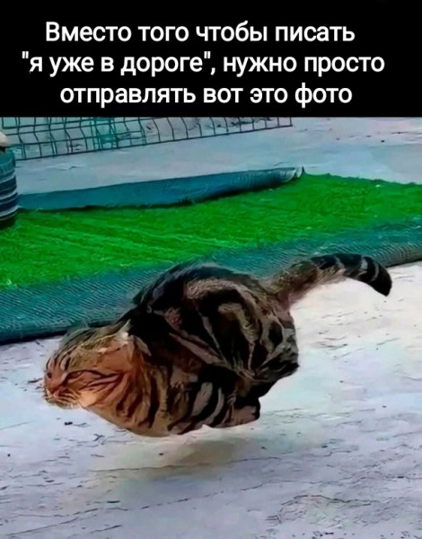 Мем, Рысь