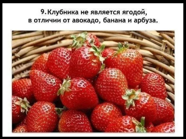 Мем, михельсон