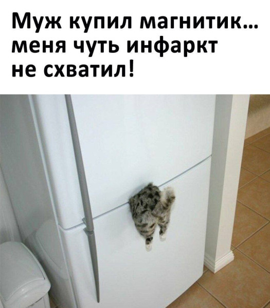 Мем, Hendry