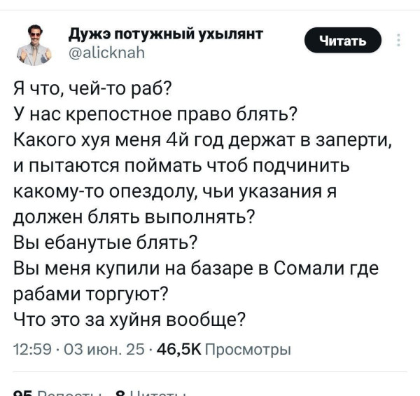 Мем, Максим Камерер