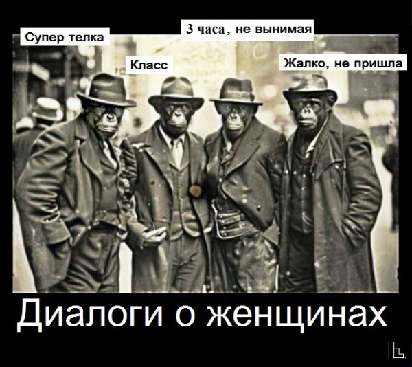 Мем: Музей Дарвина, Кондратъ