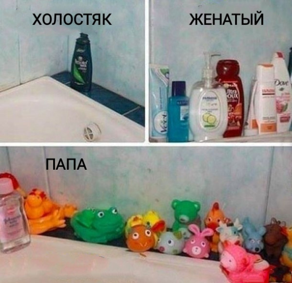 Мем, Рысь