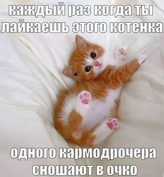 Мем, Mghost