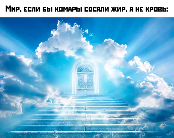Мем, Mghost