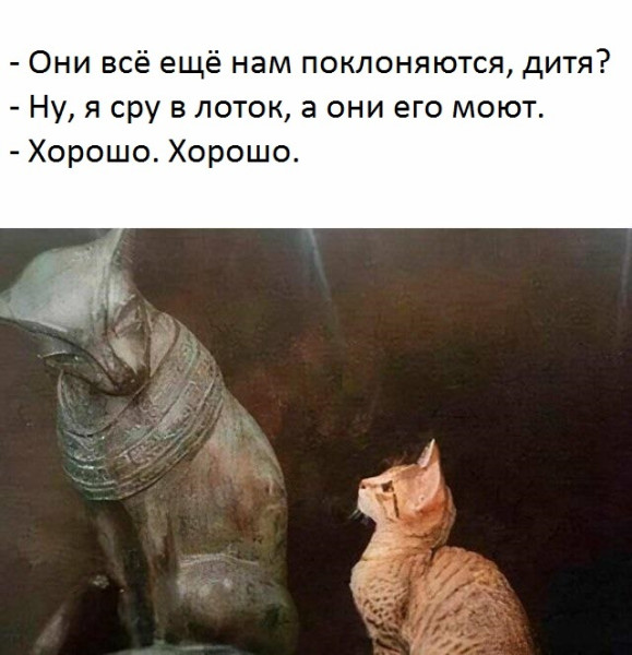 Мем, Mghost