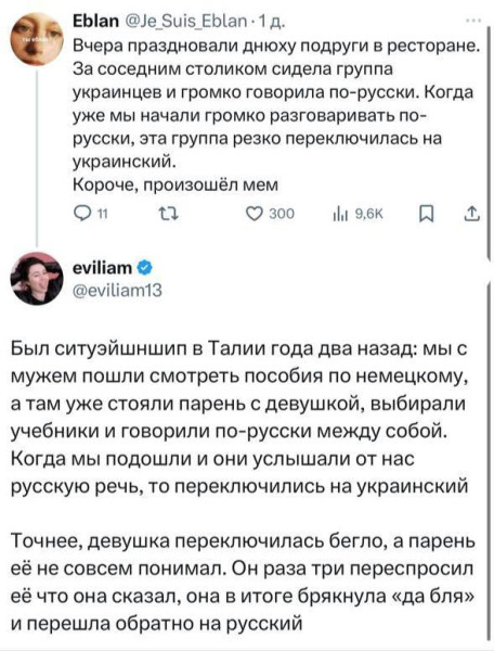 Мем: Их боротьба, Максим Камерер