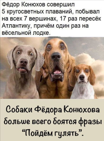 Мем, Смехалка