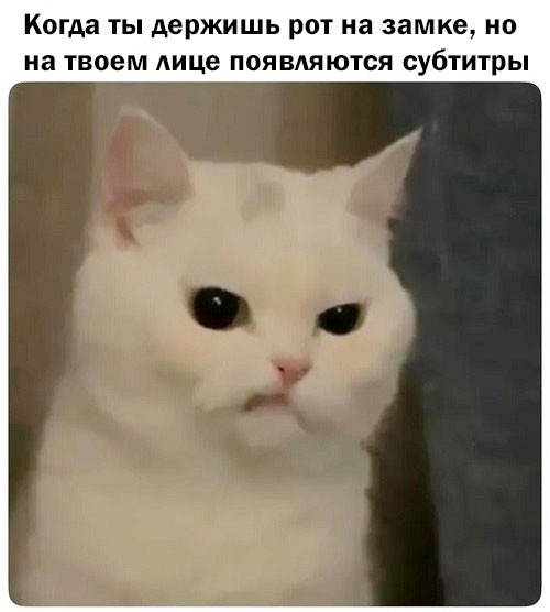 Мем: Юмор дня, iteam