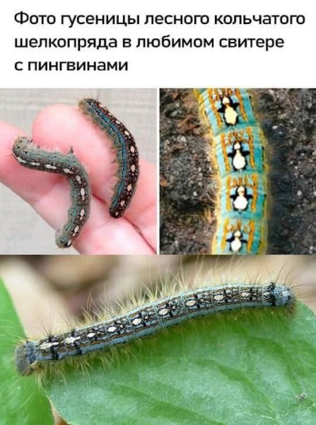 Мем, Смехалка