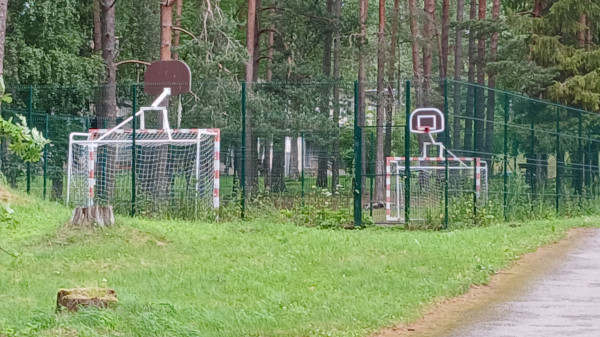 Мем: Что за спорт?, Ввелник