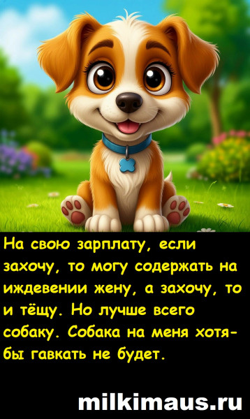 Мем, Лис Интересный