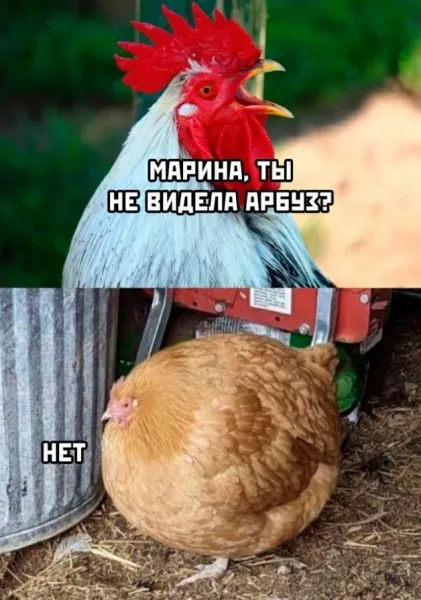 Мем, Смехалка